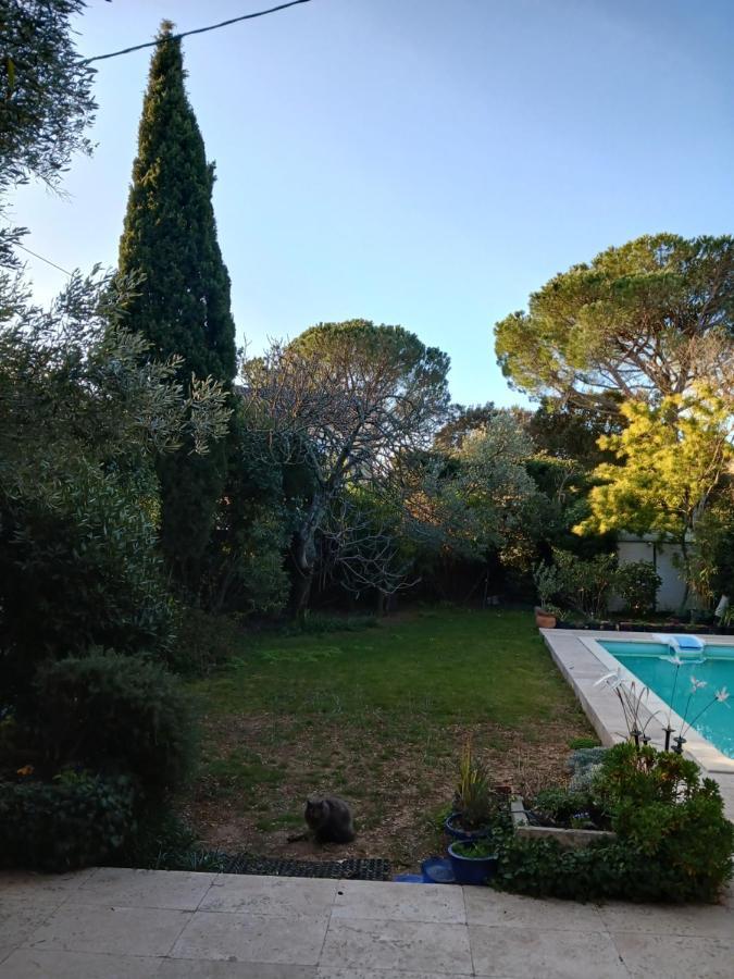 Studio Charmant Et Calme Villeneuve Les Avignon Entree Et Cour Independantes Climatisation Piscine Parking Экстерьер фото