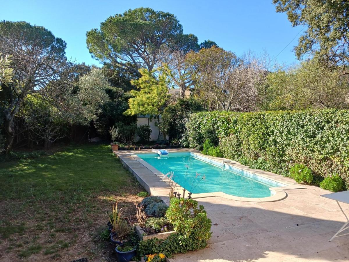 Studio Charmant Et Calme Villeneuve Les Avignon Entree Et Cour Independantes Climatisation Piscine Parking Экстерьер фото